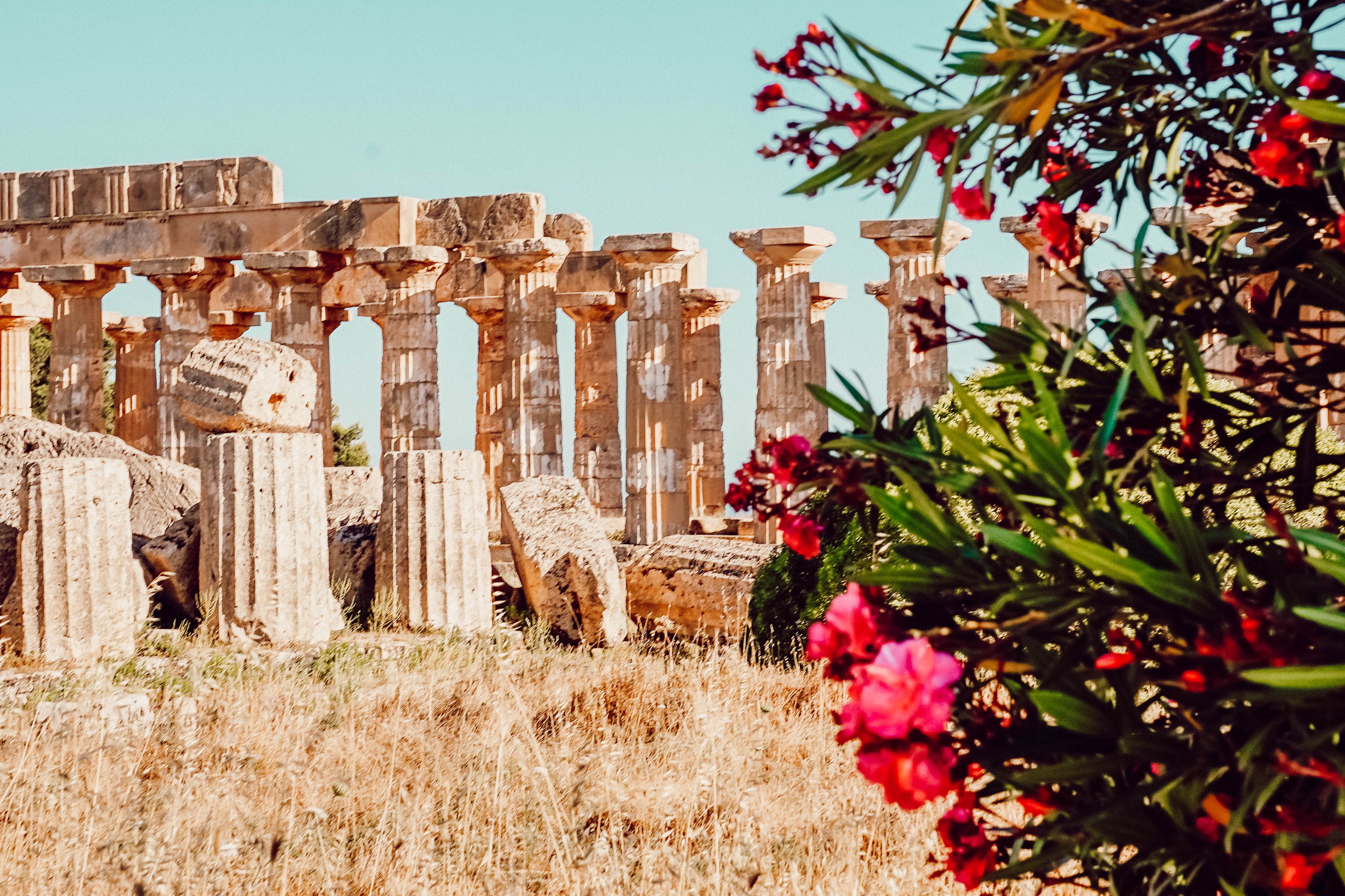 Selinunte sicilia del sud