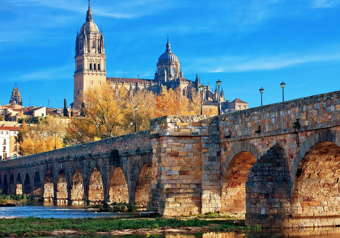 Cattedrale di Salamanca, Spagna, via dell'Argento, Ruta de la Plata