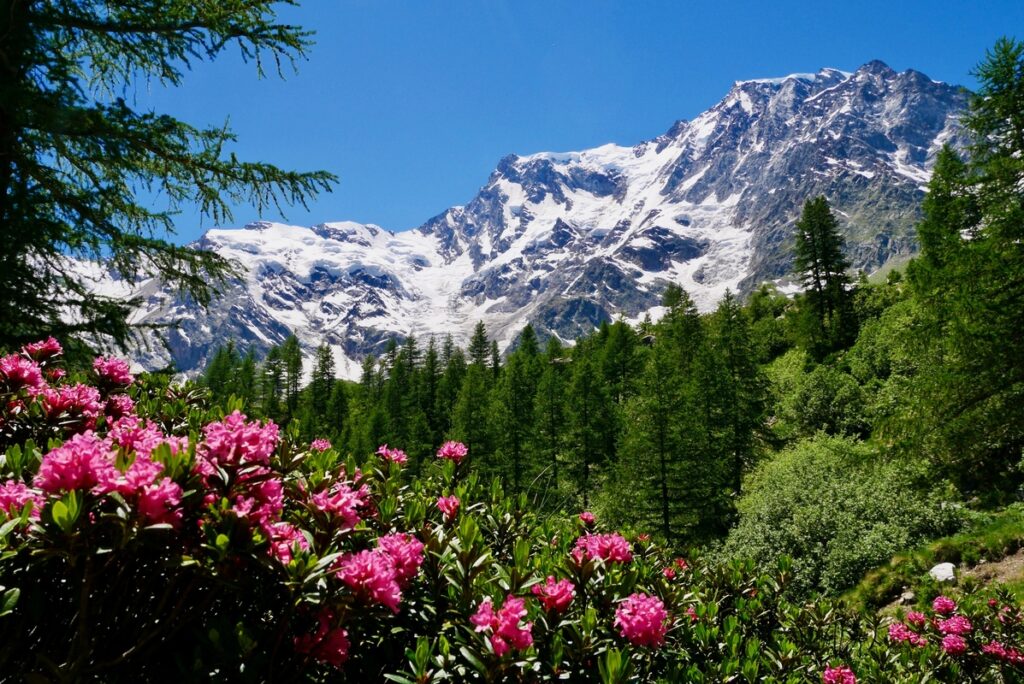 Montagna più alta d'Europa, monte Rosa.