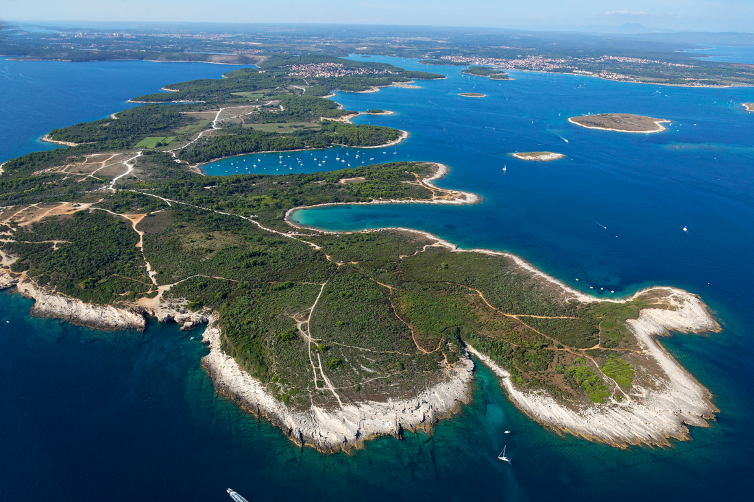 Penisoma di Kamenjak, Corazia mare