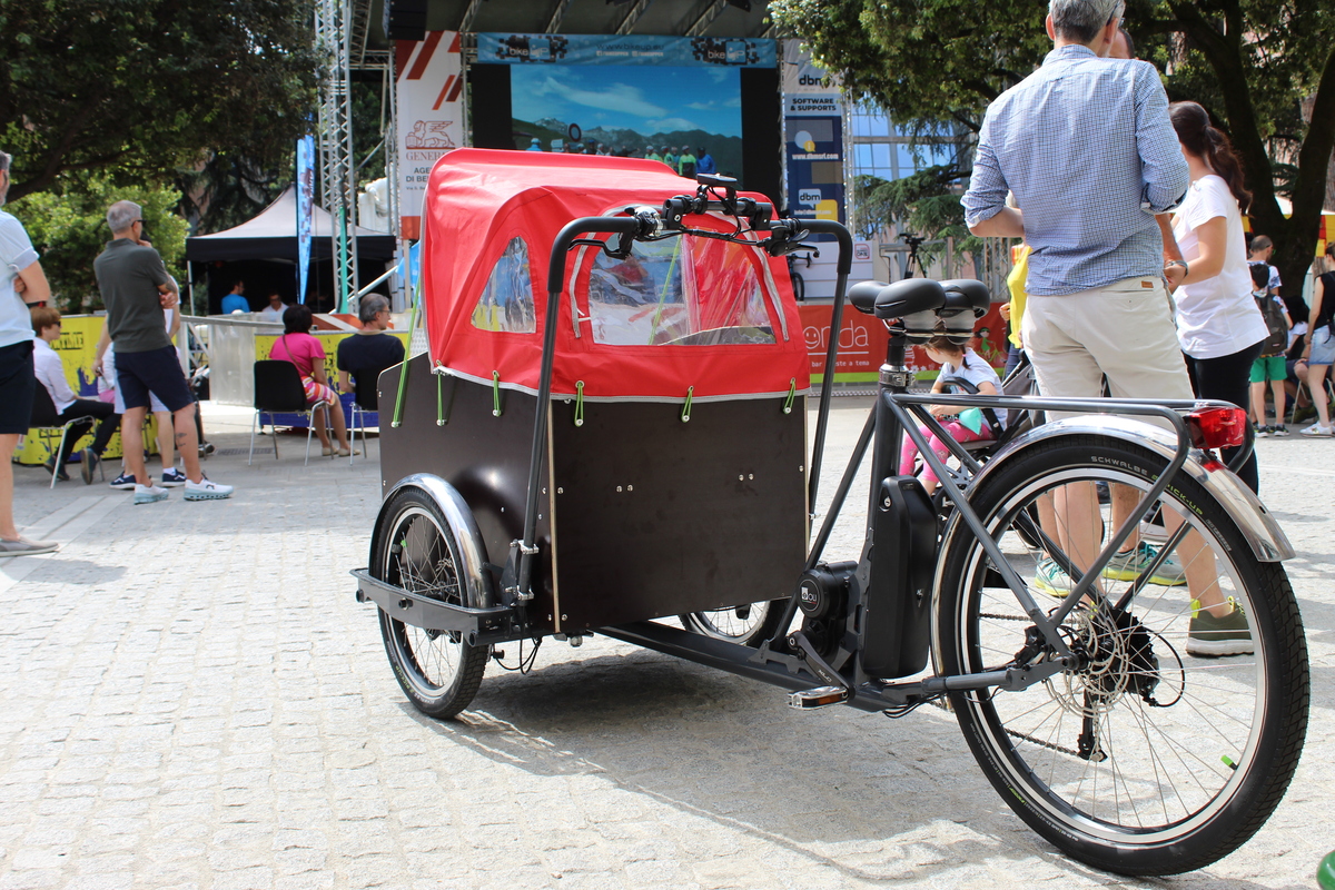 TrikeGo cargo Bike 